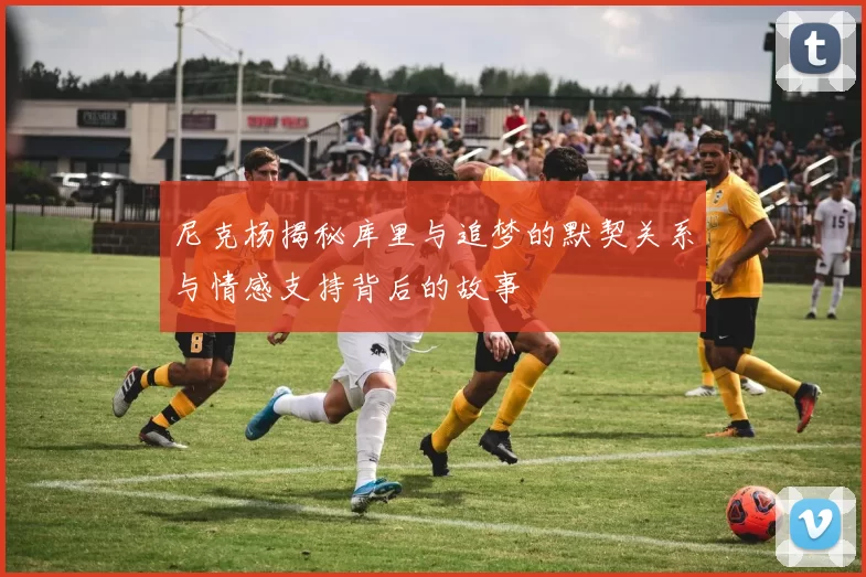 尼克杨揭秘库里与追梦的默契关系与情感支持背后的故事